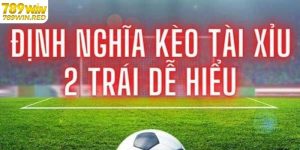 Giới thiệu tài xỉu 2 trái tại 789WIN